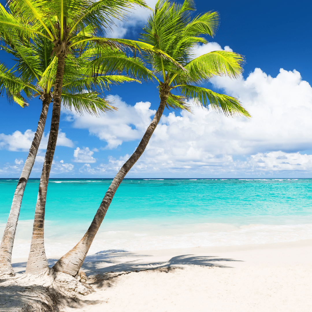 honeymoon bahamas